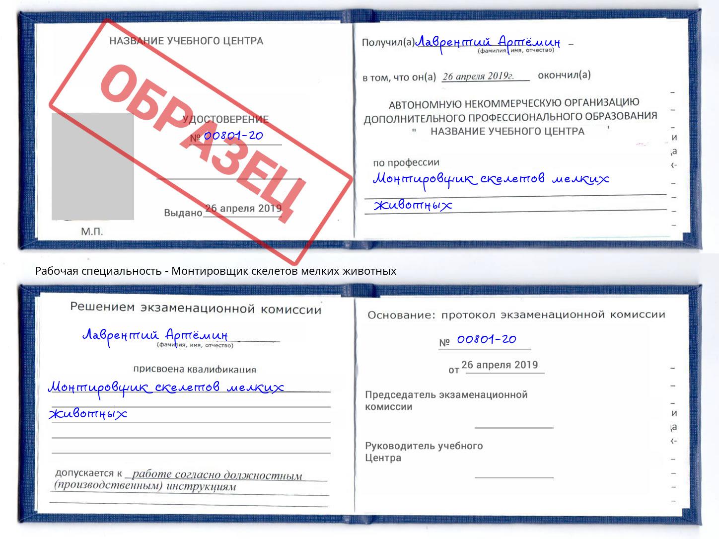 Монтировщик скелетов мелких животных Егорьевск