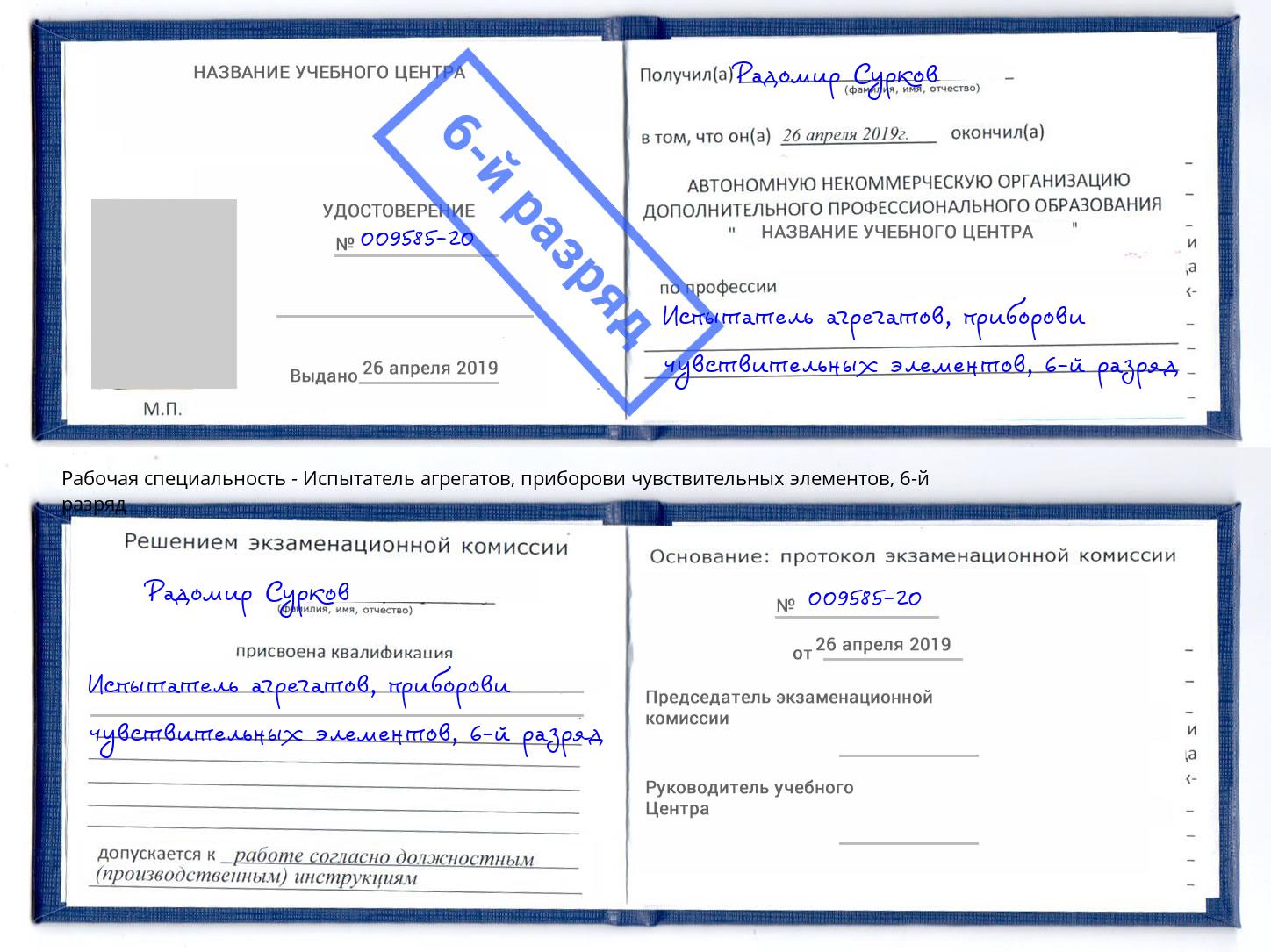 корочка 6-й разряд Испытатель агрегатов, приборови чувствительных элементов Егорьевск