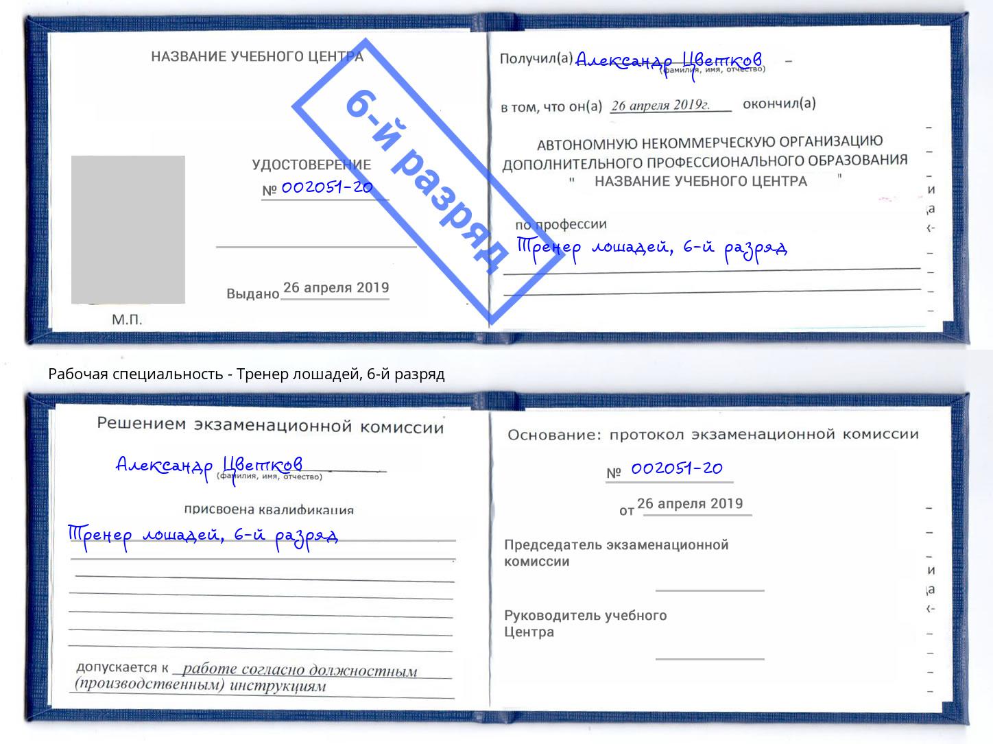 корочка 6-й разряд Тренер лошадей Егорьевск