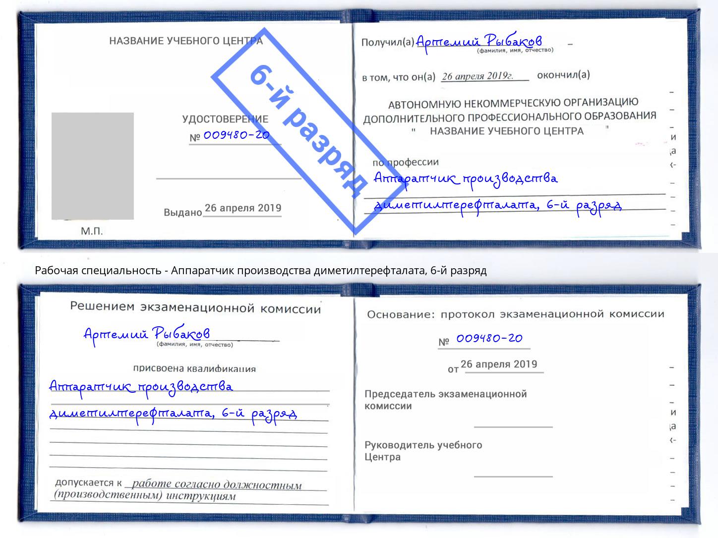 корочка 6-й разряд Аппаратчик производства диметилтерефталата Егорьевск