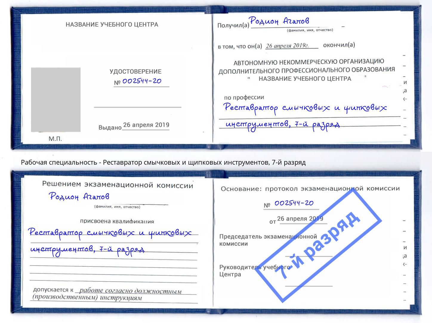 корочка 7-й разряд Реставратор смычковых и щипковых инструментов Егорьевск