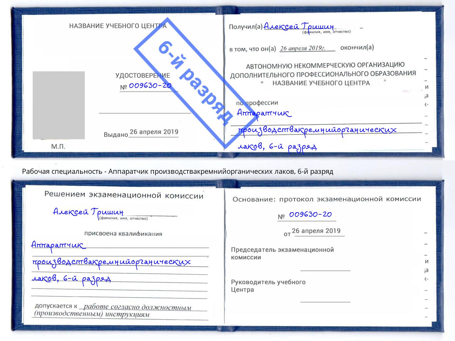 корочка 6-й разряд Аппаратчик производствакремнийорганических лаков Егорьевск