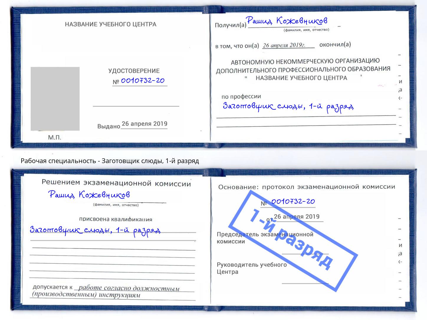 корочка 1-й разряд Заготовщик слюды Егорьевск
