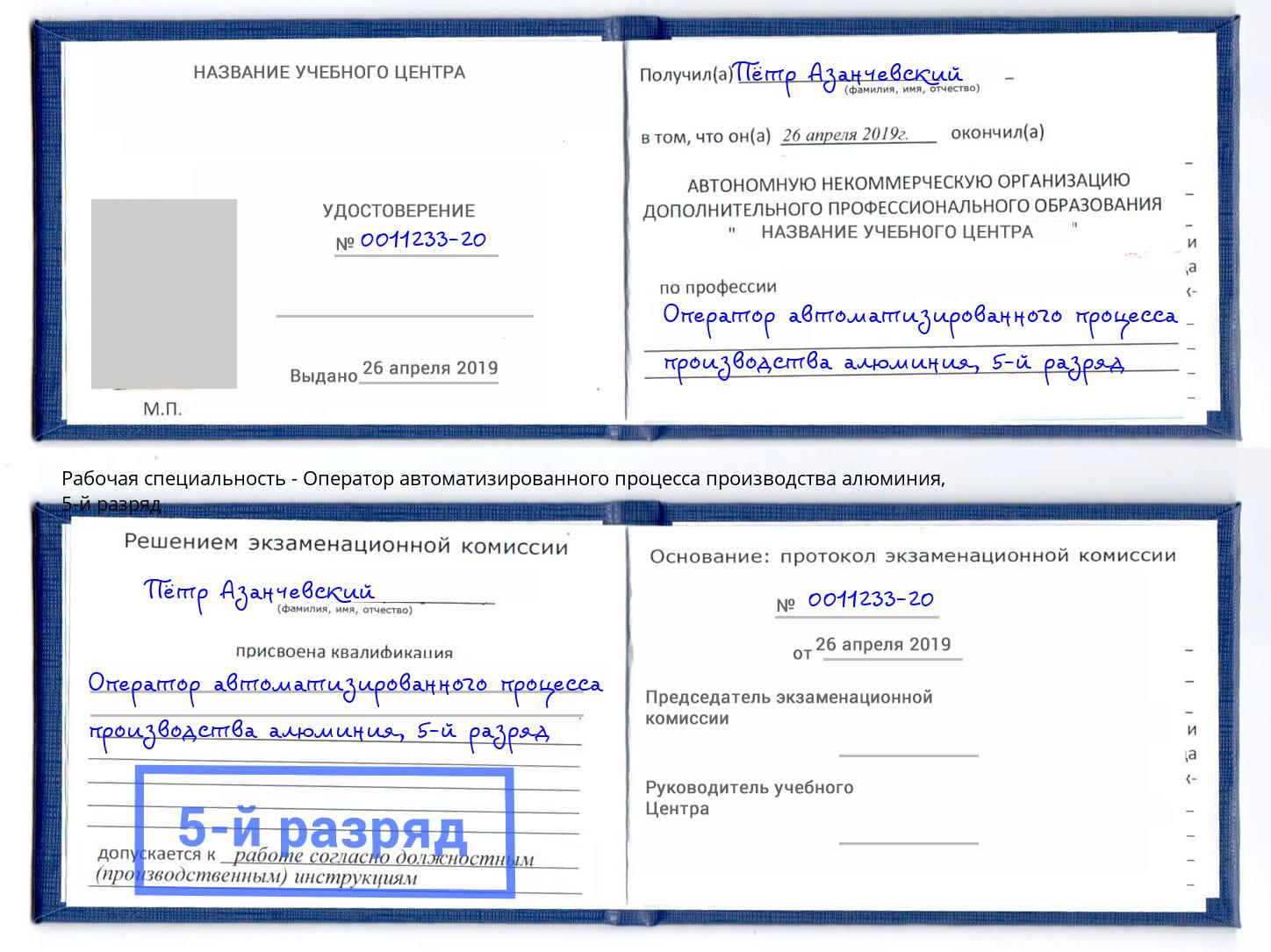корочка 5-й разряд Оператор автоматизированного процесса производства алюминия Егорьевск